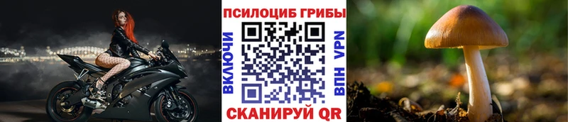 Купить где  Кирс  Галлюциногенные грибы мицелий 
